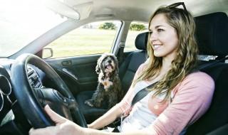 车辆强险是什么意思 汽车保险强险是什么意思