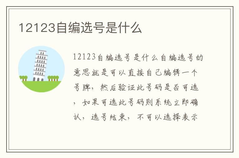 12123自编选号是什么