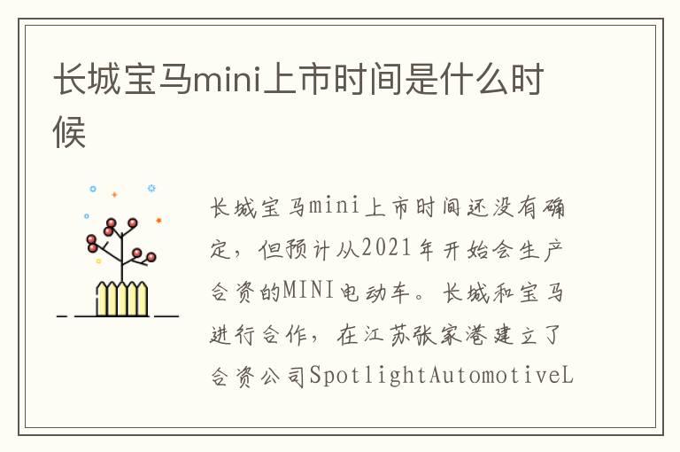 长城宝马mini上市时间是什么时候