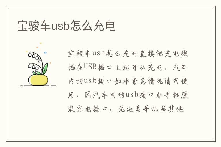 宝骏车usb怎么充电
