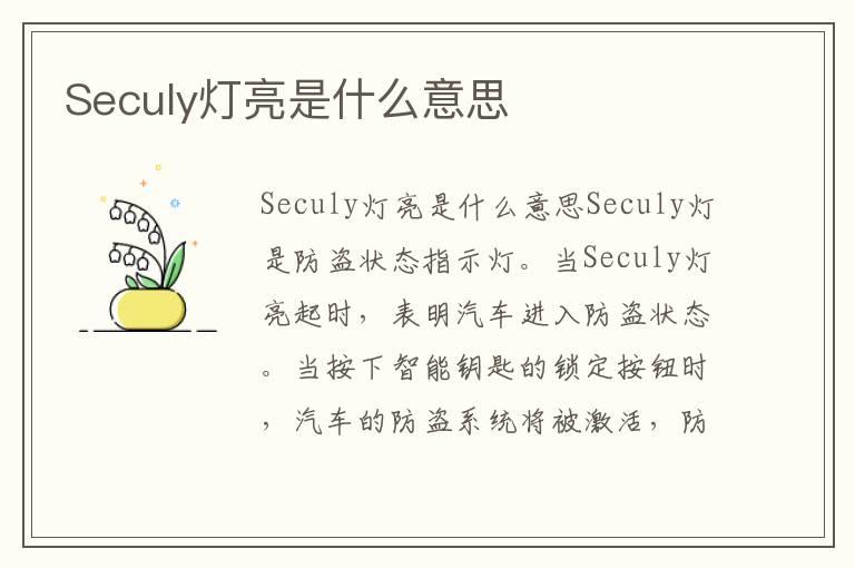Seculy灯亮是什么意思