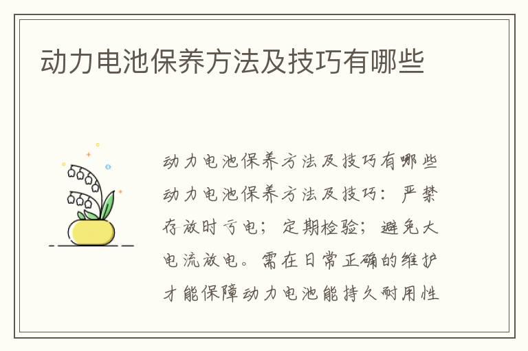 动力电池保养方法及技巧有哪些