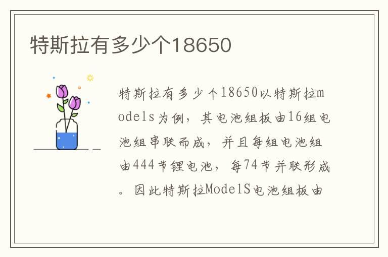 特斯拉有多少个18650