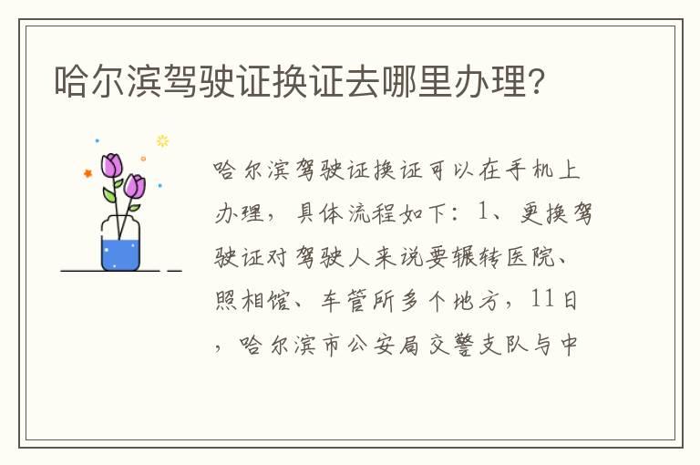 哈尔滨驾驶证换证去哪里办理?