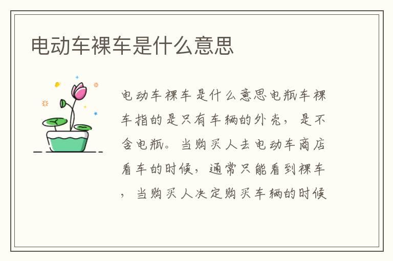电动车裸车是什么意思