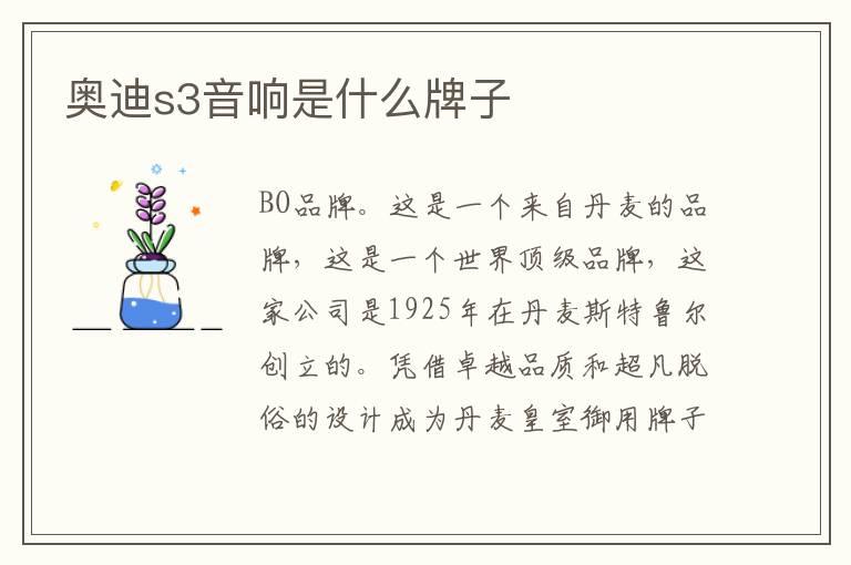 奥迪s3音响是什么牌子