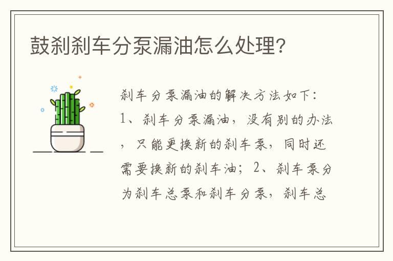 鼓刹刹车分泵漏油怎么处理?