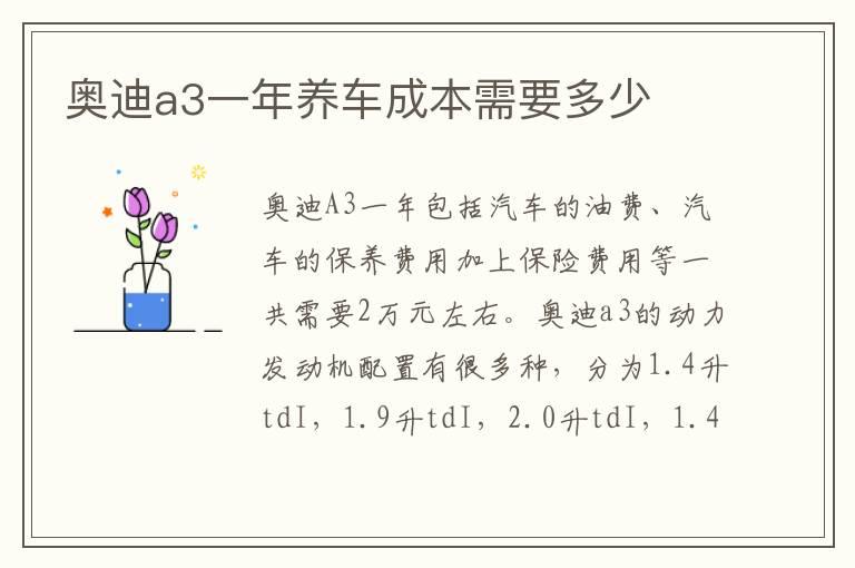 奥迪a3一年养车成本需要多少