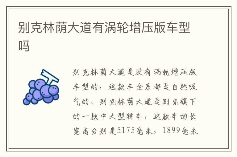 别克林荫大道有涡轮增压版车型吗