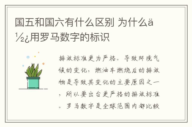 国五和国六有什么区别 为什么使用罗马数字的标识