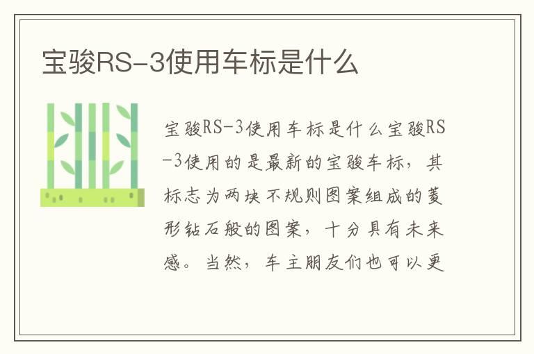 宝骏RS-3使用车标是什么