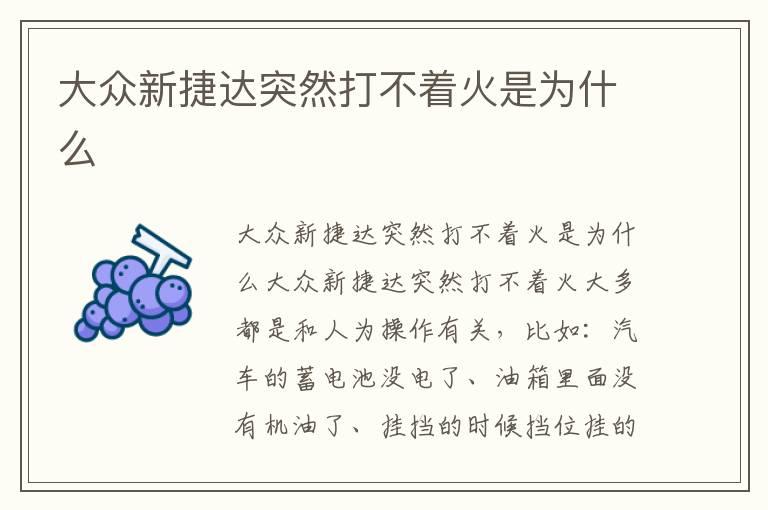 大众新捷达突然打不着火是为什么