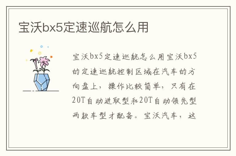 宝沃bx5定速巡航怎么用