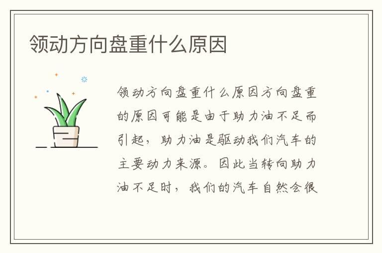 领动方向盘重什么原因