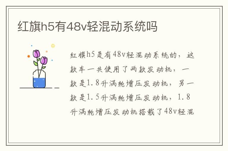 红旗h5有48v轻混动系统吗