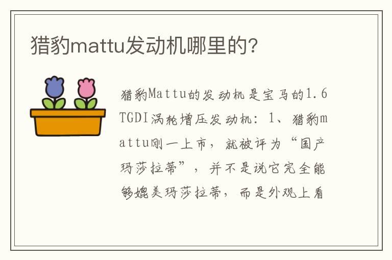 猎豹mattu发动机哪里的?