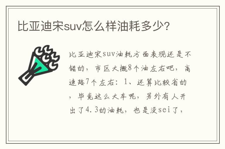 比亚迪宋suv怎么样油耗多少?