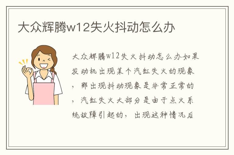 大众辉腾w12失火抖动怎么办