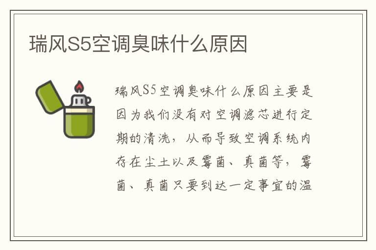 瑞风S5空调臭味什么原因