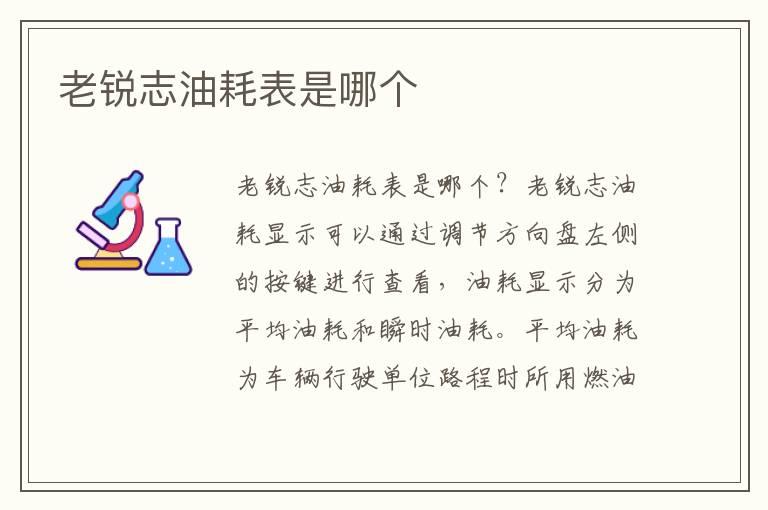老锐志油耗表是哪个