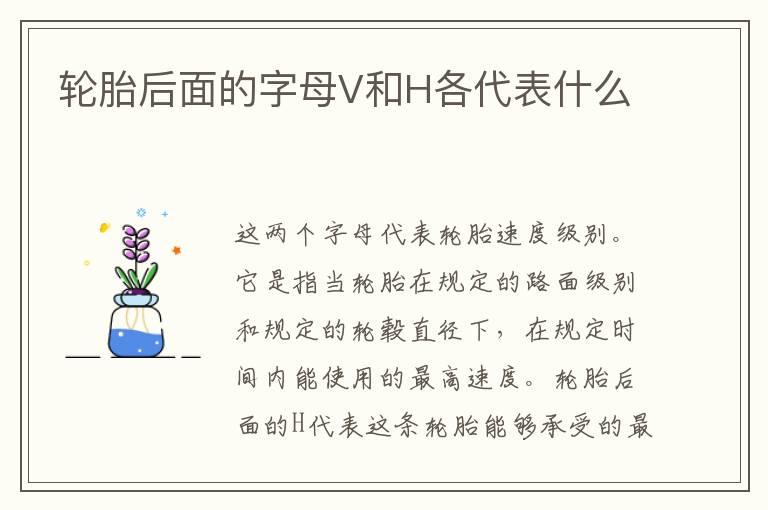 轮胎后面的字母V和H各代表什么