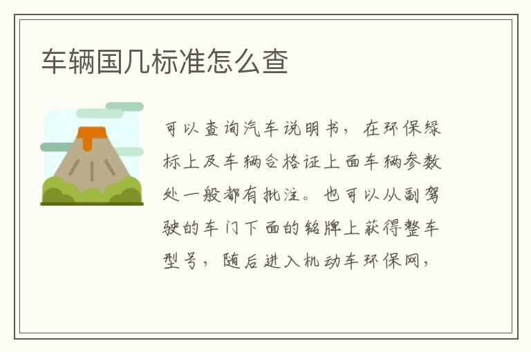 车辆国几标准怎么查