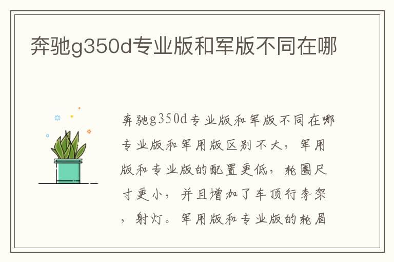 奔驰g350d专业版和军版不同在哪
