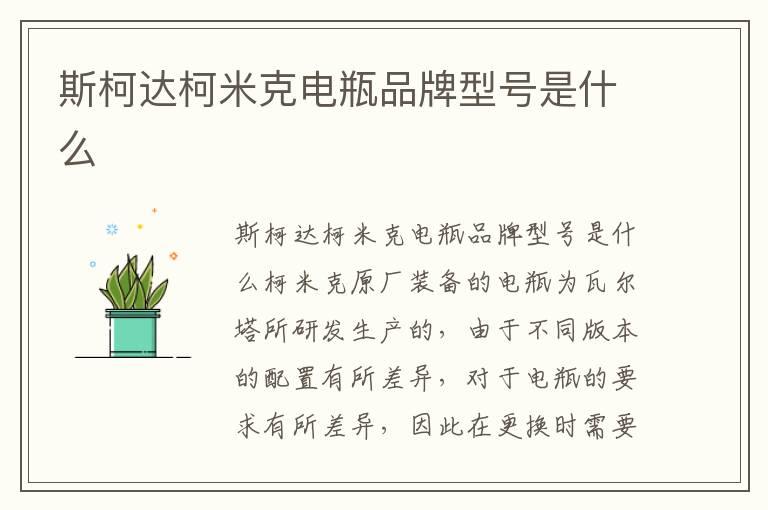 斯柯达柯米克电瓶品牌型号是什么