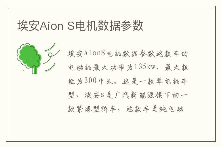 埃安Aion S电机数据参数
