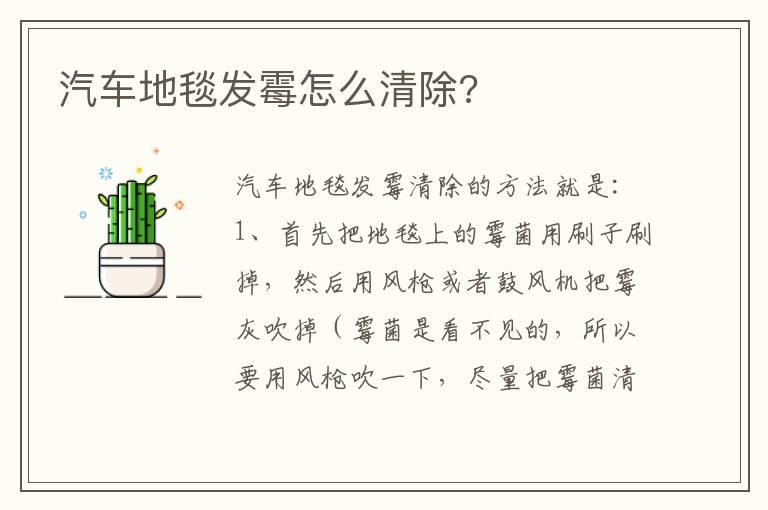 汽车地毯发霉怎么清除?