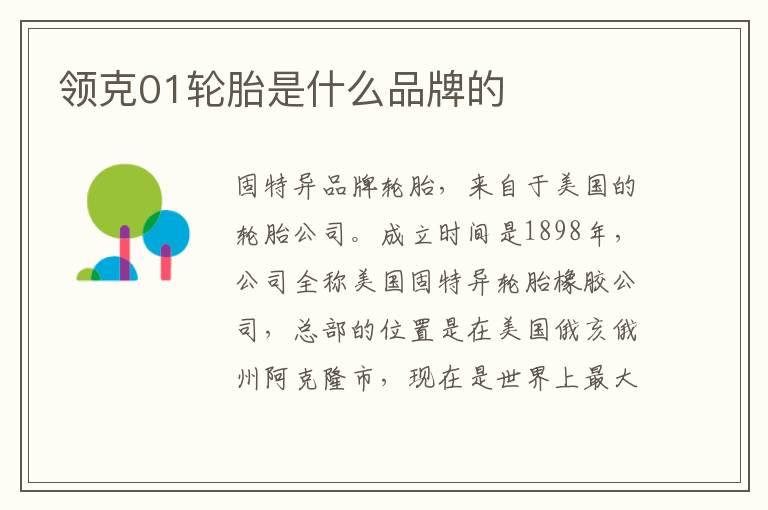 领克01轮胎是什么品牌的