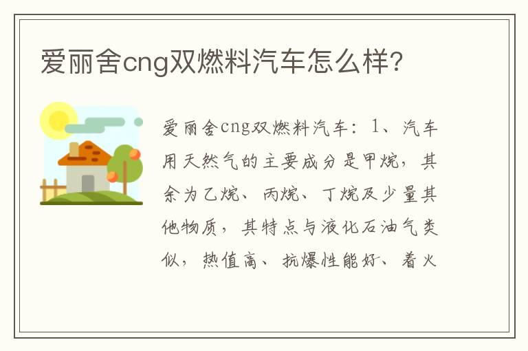 爱丽舍cng双燃料汽车怎么样?