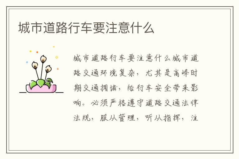 城市道路行车要注意什么