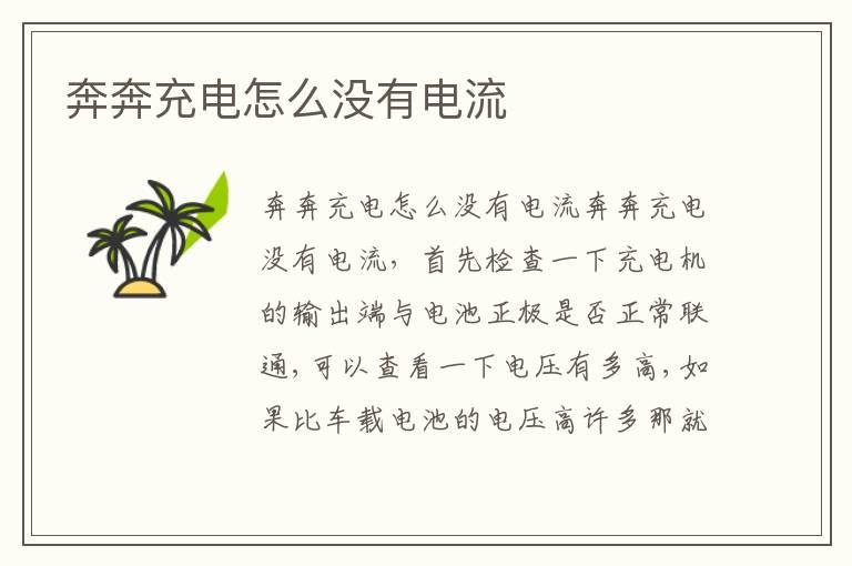 奔奔充电怎么没有电流
