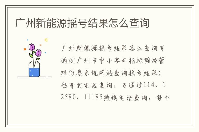 广州新能源摇号结果怎么查询