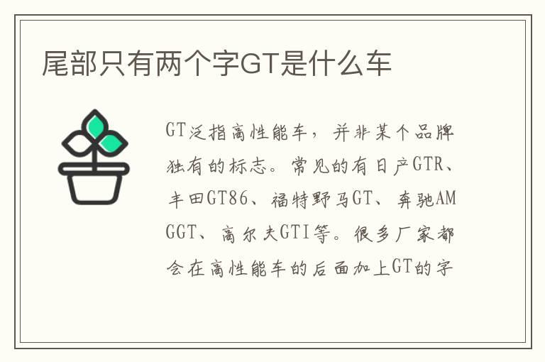 尾部只有两个字GT是什么车