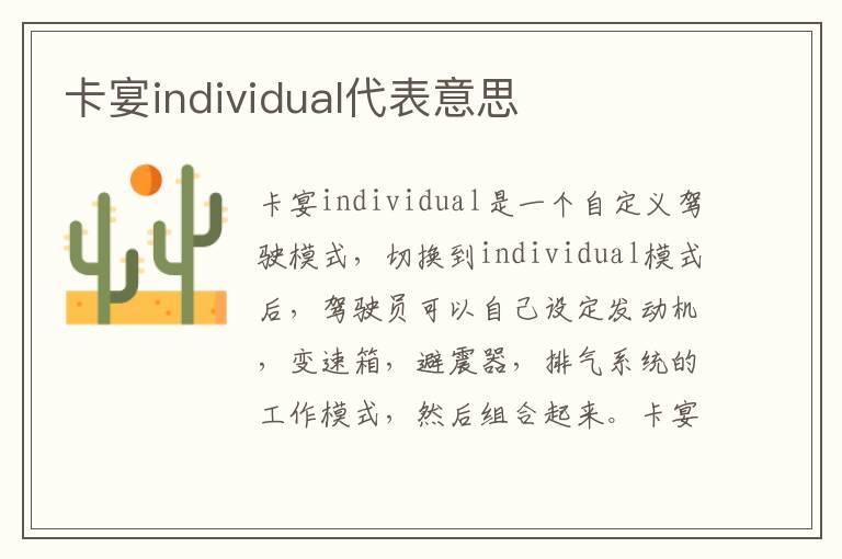 卡宴individual代表意思