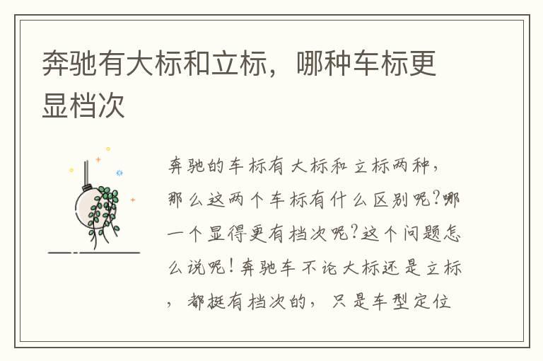 奔驰有大标和立标，哪种车标更显档次