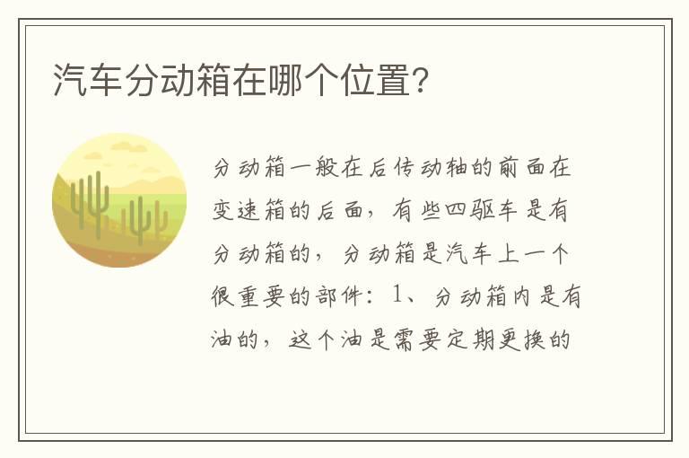 汽车分动箱在哪个位置?