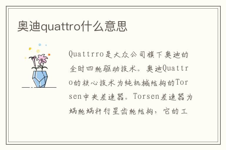 奥迪quattro什么意思