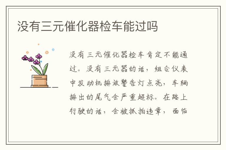 没有三元催化器检车能过吗