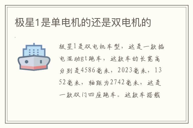 极星1是单电机的还是双电机的