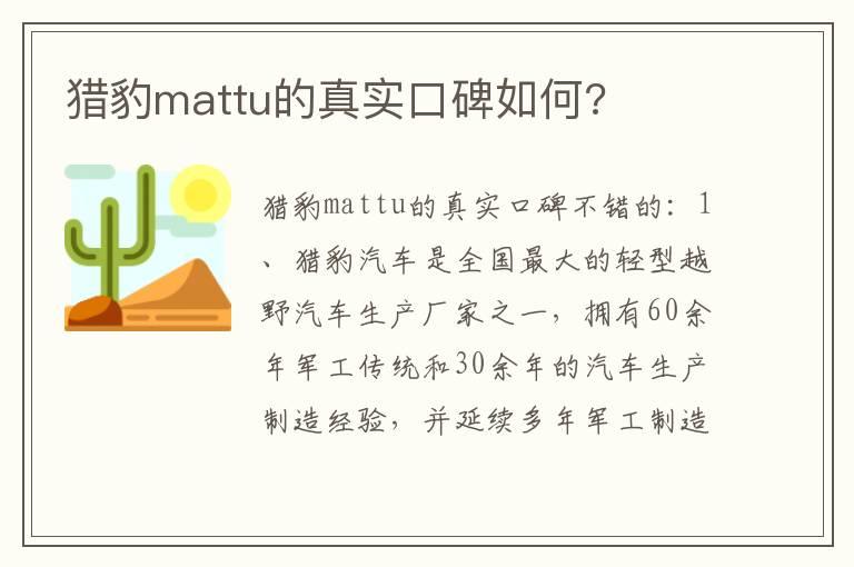 猎豹mattu的真实口碑如何?