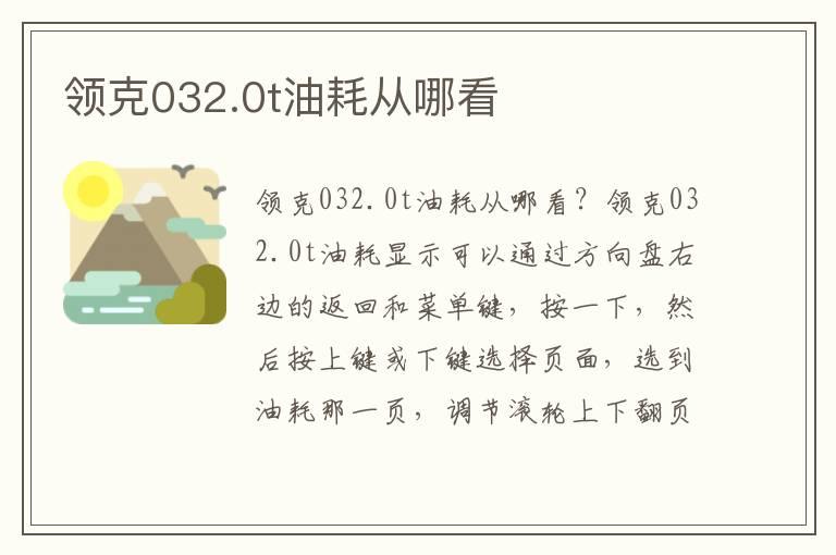 领克032.0t油耗从哪看