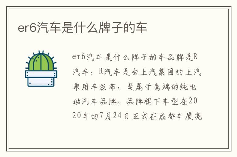 er6汽车是什么牌子的车