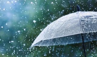 老奥迪a4雨刮器怎么换（奥迪a4雨刮器怎么换图解）