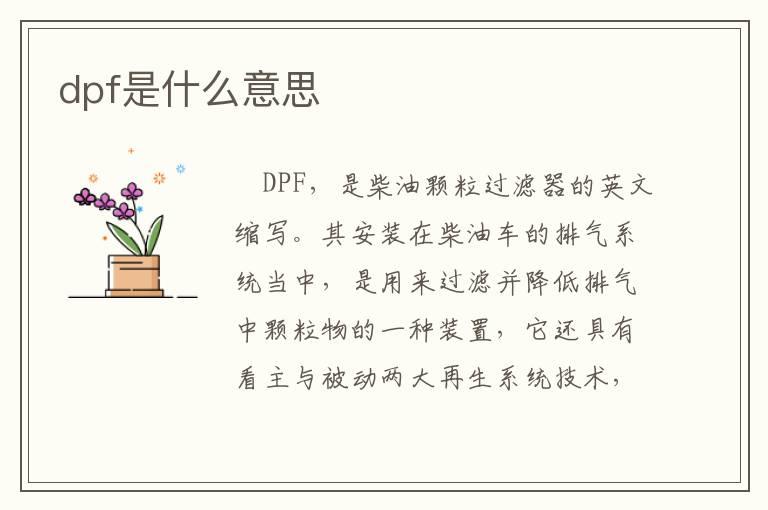 dpf是什么意思