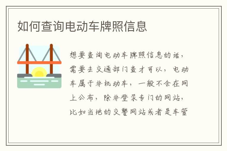 如何查询电动车牌照信息