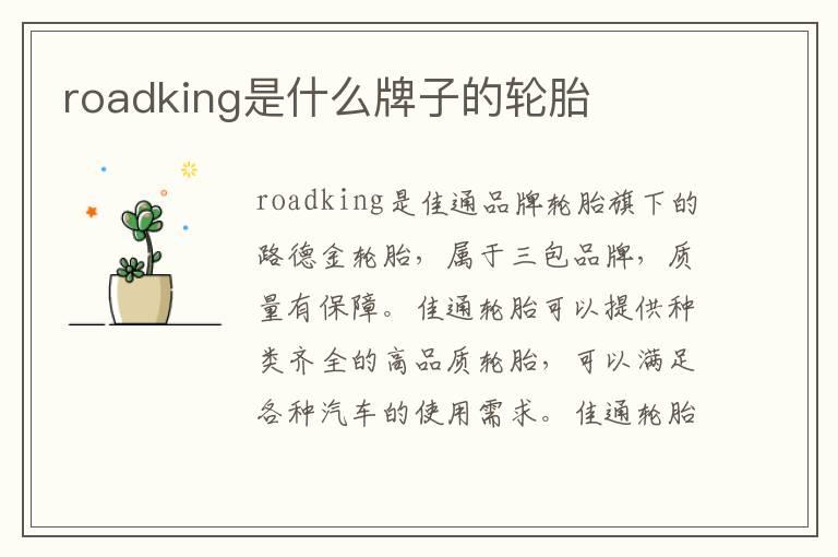 roadking是什么牌子的轮胎