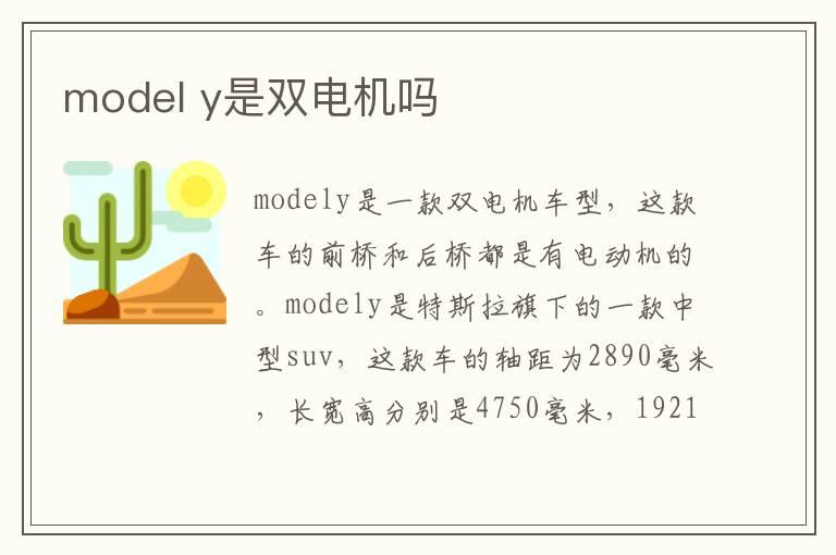 model y是双电机吗